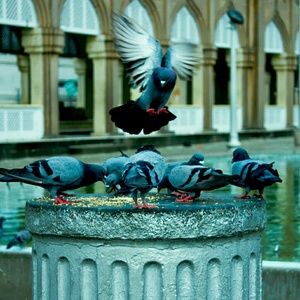 Meet your Posher, Luverne